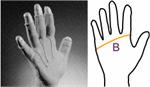 DMG Compression Gloves